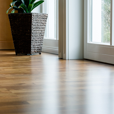 laminate flooring imitating wooden panels in living room with plant in wicker pot