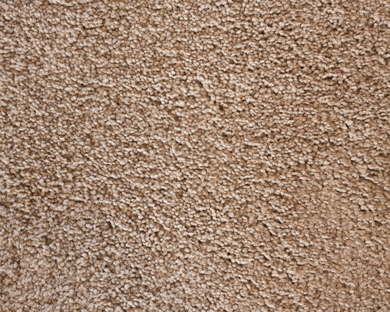 twist pile carpet